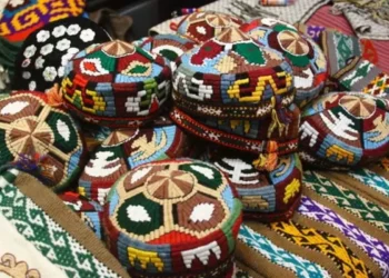 بایسون دۉپیسی جیوگرافیک کۉرستکیچ صفتیده رویخطدن اۉتکزیلدی