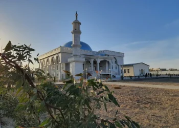 نیمروز ولایتیده ایکّی یاش سیرلی روشده اۉلدیریلگن