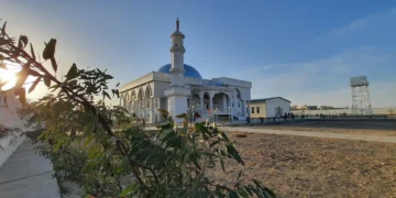 نیمروز ولایتیده ایکّی یاش سیرلی روشده اۉلدیریلگن