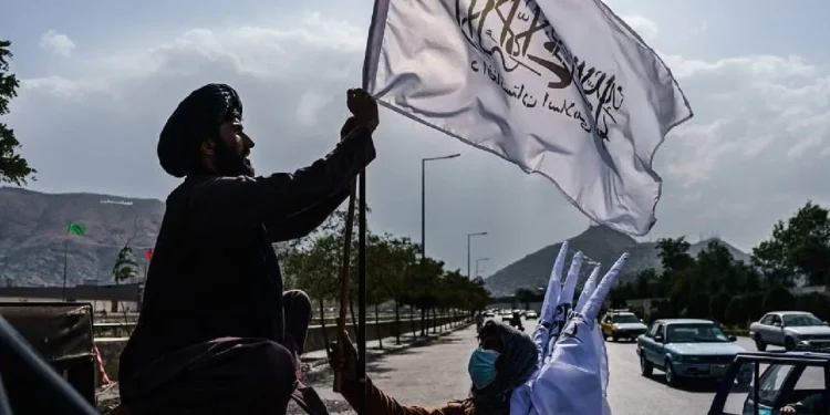 طالبان رسمیلری حبسگه آلینیشی قراری؛ رواداری: دنیا مملکتلری بو قرارنی جدّی اعتبارگه آلیشی ضرور
