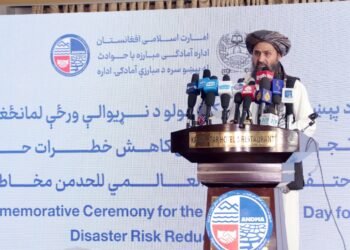 غنی برادر: افغانستان اقلیم اۉزگریشلری قربانی، بیراق اونینگ یۉزگه کیلیشی‌ده حصه‌سی یوق