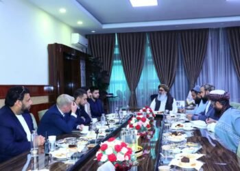 طالبان و روسیه ساغلیق‌نی سقلش بویېچه همکارلیکلر مستحکملنیشی‌گه تاکیدله‌دی