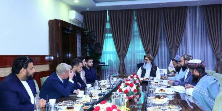طالبان و روسیه ساغلیق‌نی سقلش بویېچه همکارلیکلر مستحکملنیشی‌گه تاکیدله‌دی