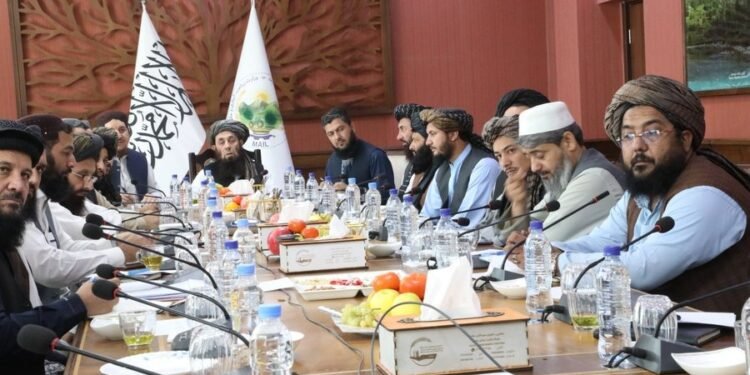 طالبان و اۉزبېکستان اېکینچیلیک ساحهسیده همکارلیکلر مستحکملنیشینی محاکمه قیلدی
