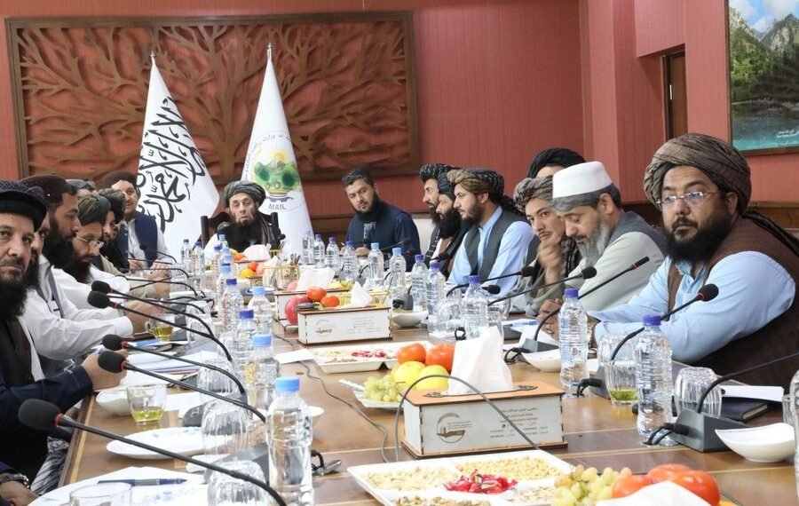 طالبان و اۉزبېکستان اېکینچیلیک ساحه‌سیده همکارلیکلر مستحکم‌لنیشی‌نی محاکمه قیلدی