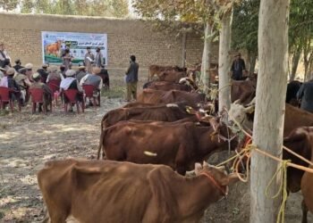 تخار ده ۶۰ عایله‌گه ۸۰ مینگ دالر ارزشی‌ یاردم بېریلدی